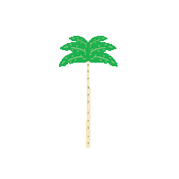 Bad Bunny Reggaeton Sticker by Baja Beach Fest
