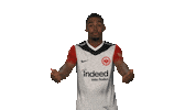 Oh No Frankfurt Sticker by Bundesliga