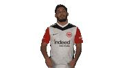 Oh No Frankfurt Sticker by Bundesliga