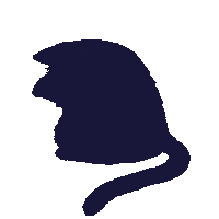 Sad Cat Sticker