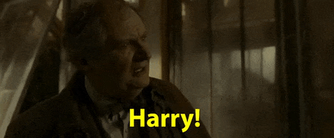 pollypocks giphygifmaker harry potter senor GIF