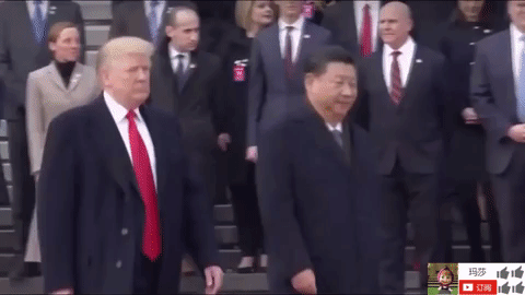 zheng zhi GIF