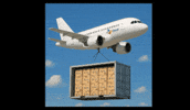 Fly Box GIF by CJ Darcl Logistics Ltd