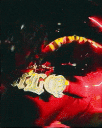 Usc Trojans GIF
