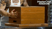 gordon ramsay fox GIF