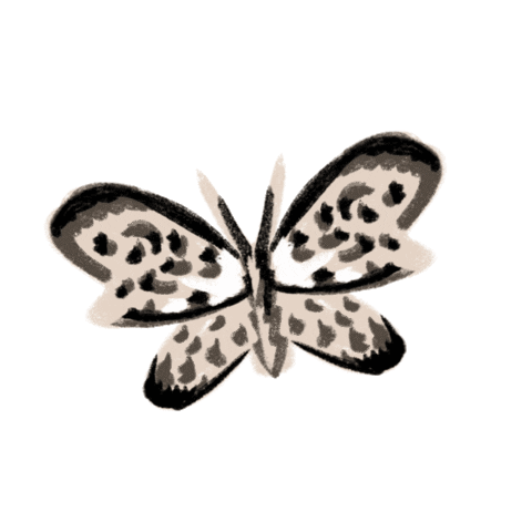 fun fly Sticker by Ivo Adventures