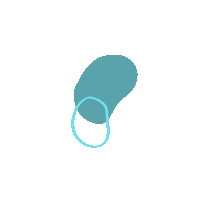 Type 1 Shape Sticker by Discover Freedom