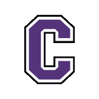 Football Sport Sticker by Cornell College