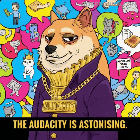 Shiba Inu Omg GIF by Doge Pound