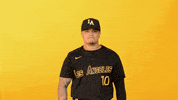 Cal State La Sport GIF by Cal State LA Golden Eagles