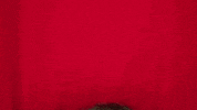 christinegritmon red looking spy spying GIF