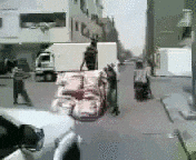 donkey GIF