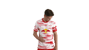 Football Sport Sticker by RB Leipzig
