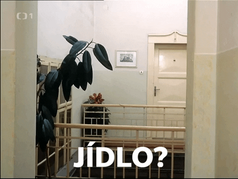 ceska_televize giphyupload ceskatelevize czechtv uz GIF