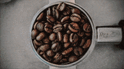 hannahjohnston art animation coffee stop motion GIF