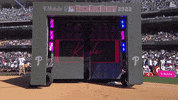 Kyle Schwarber Sport GIF by MLB