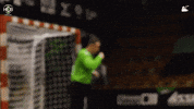 Celebrate Czech Republic GIF by HCB Karviná
