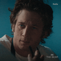 Jeremy Allen White What GIF by The Bear