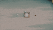scott hoying goodbye GIF by Rozzi