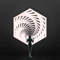 GIF by Borrachas