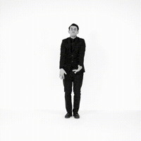 Nft King GIF