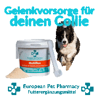 Border Co Sticker by Europeanpetpharmacy