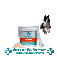 Border Co Sticker by Europeanpetpharmacy
