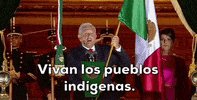 Viva Mexico GIF by GIPHY News