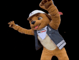 Pakito GIF by Pacaembu