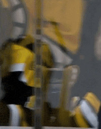 nhl GIF by SB Nation