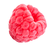 Risifrutti raspberry marja risifrutti välipala Sticker