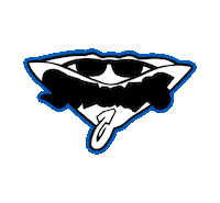 Cheer Rays Sticker by The Stingray Allstars