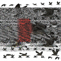 glitch birds GIF by weinventyou