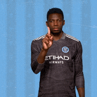 Major League Soccer Reaction GIF by NYCFC