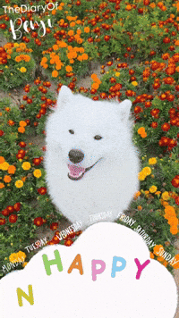 Kick Off Monday GIF