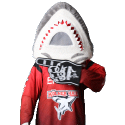 Hockey Nhl Sticker by Koelner Haie