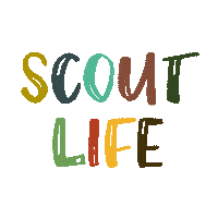 hoacbsa fun friends adventure challenge Sticker