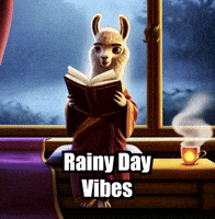 Rain Reading GIF by dalaillamazen