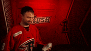 Celebrate Bud Light GIF by Rapid City Rush