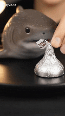 Mood Feels GIF by Darwin