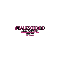 Real Estate Baltimore Sticker by TheBalcerzakGroup