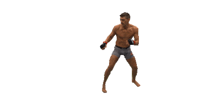 ufc mma Sticker by Stephen "Wonderboy" Thompson
