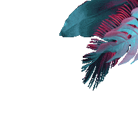 Loop Trauma Sticker by Tammerfest