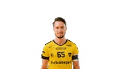 Floorball Hartman Sticker by Český florbal