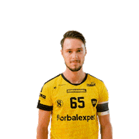 Floorball Hartman Sticker by Český florbal