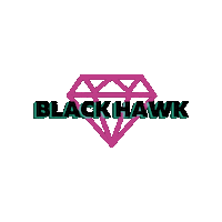 Black Hawk Cheerleading Sticker by CA Flyers