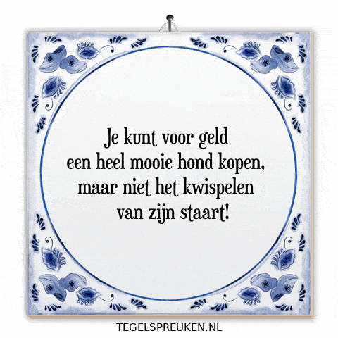 Humor Nl GIF by Tegelspreuken.nl