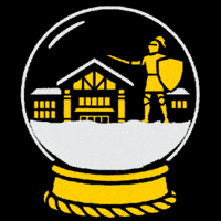 Snowglobe GIF by Clarkson University