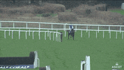 Where Are You Running GIF by Ascot Racecourse