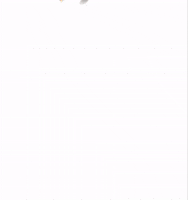 coffee veracruz GIF by Cafe Andrade Oficial